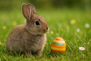 Ostern steht vor der Tür!